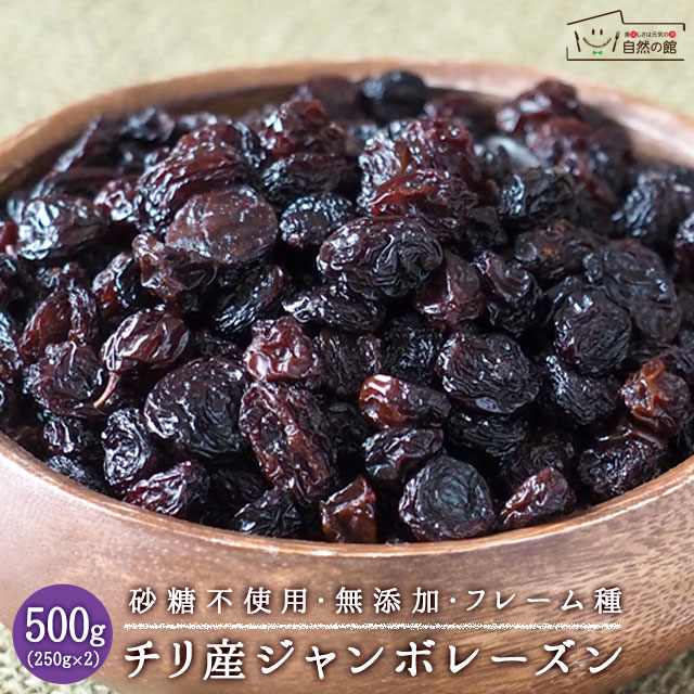 チリフレームレーズン 500g(250g×2)